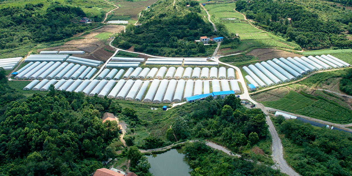 西安真趣生態科技有限公司